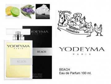 Beach 100 ml