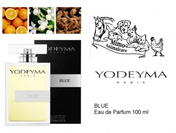 Bleu 100ml