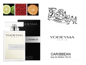 Caribbean 100ml