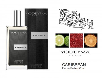 Caribbean 50ml