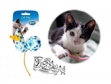 Cat toy duvo