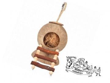 Coconut jungle huis met ladder