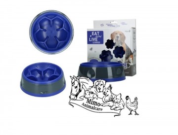 Eat slow live longer amaze flower blauw