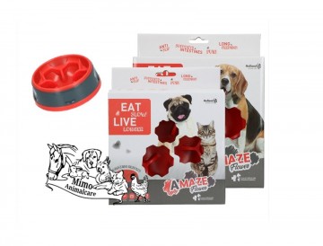 Eat slow live longer amaze flower rood