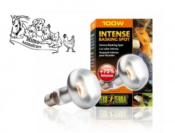 Ex tightbeam daglicht warmtespot