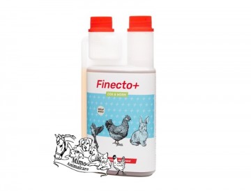 Finecto