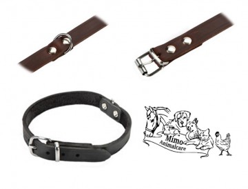 Halsband zwart dog