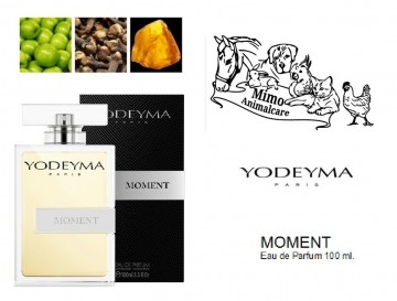 Moment 100ml