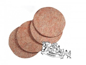 Thijbo duivennestmatjes