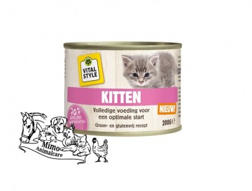 Vital style kitten