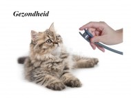 gezondheid