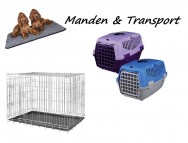 Manden / Transportboxen