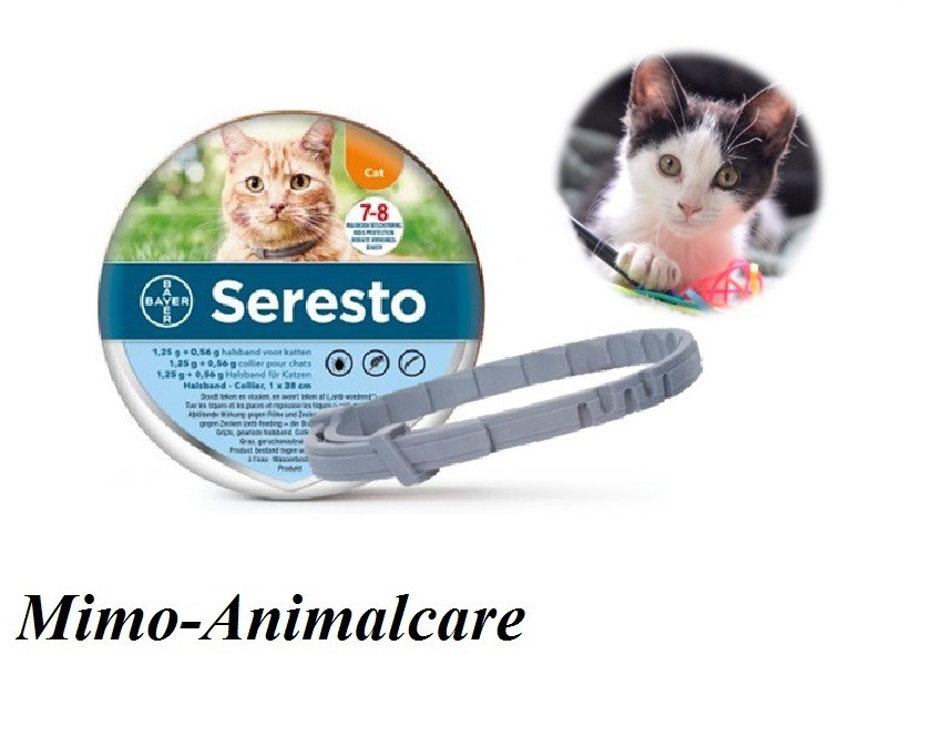 kolf Papa naar voren gebracht Seresto vlooienband kat - Ontworming-Vlooien-Teken - www.mimo-animalecare.nl